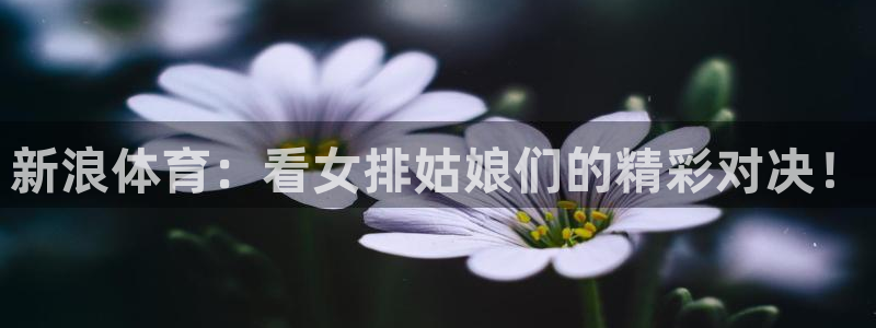 新浪体育：看女排姑娘们的精彩对决！