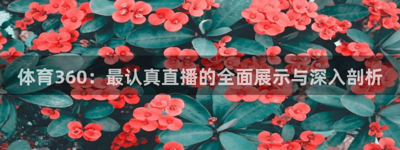 体育360：最认真直播的全面展示与深入剖析