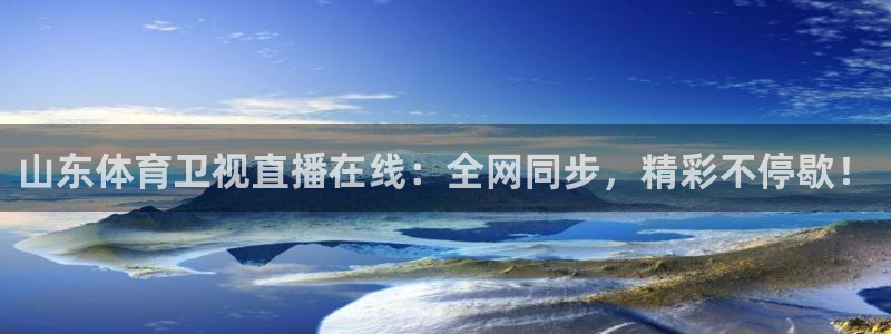 山东体育卫视直播在线：全网同步，精彩不停歇！