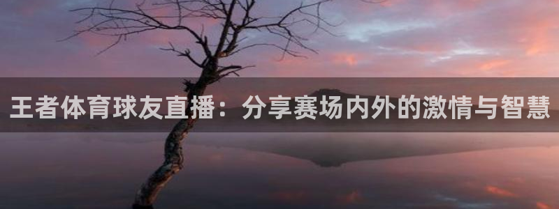 王者体育球友直播：分享赛场内外的激情与智慧