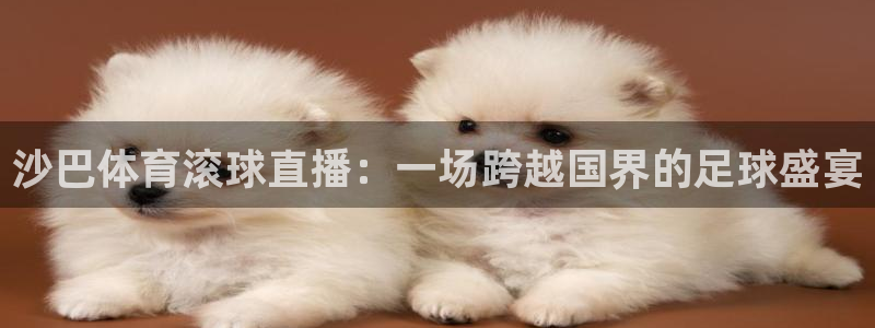 沙巴体育滚球直播：一场跨越国界的足球盛宴