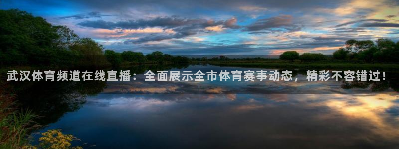武汉体育频道在线直播：全面展示全市体育赛事动态，精彩不容错过！