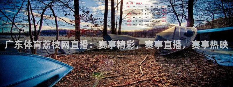 广东体育荔枝网直播：赛事精彩，赛事直播，赛事热映