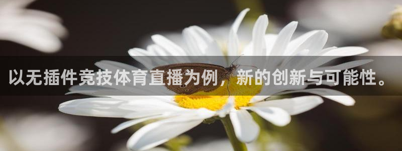 以无插件竞技体育直播为例，新的创新与可能性。