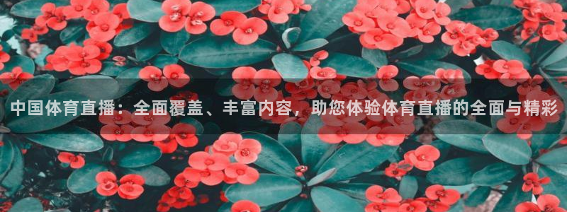 中国体育直播：全面覆盖、丰富内容，助您体验体育直播的全面与精彩