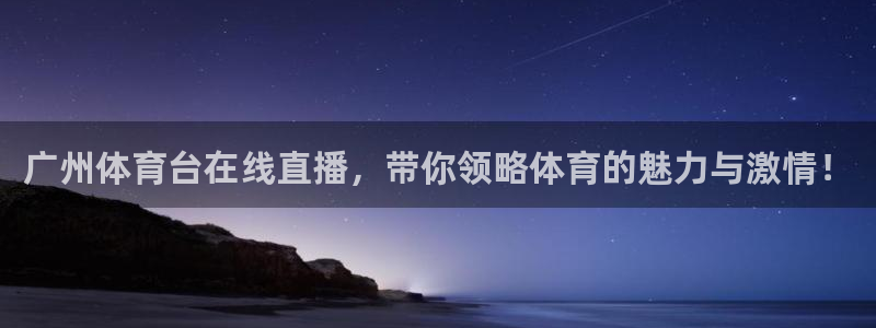 广州体育台在线直播，带你领略体育的魅力与激情！