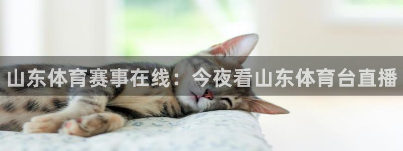 山东体育赛事在线：今夜看山东体育台直播