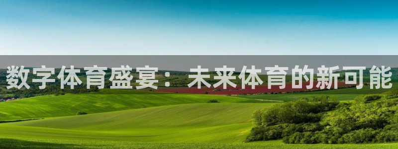数字体育盛宴：未来体育的新可能