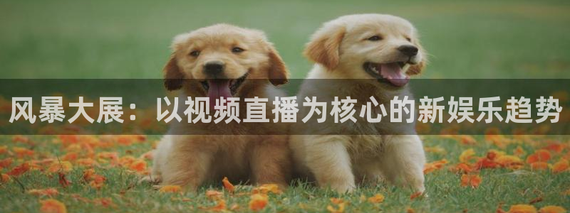 风暴大展：以视频直播为核心的新娱乐趋势